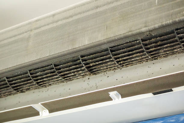 Best Commercial Air Duct Cleaning  in Geneva, FL